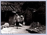拜阿公婆（1996～1999，芎林）藏品圖，第1張