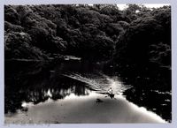 峨眉湖生態探險（2003，峨嵋）藏品圖，第1張