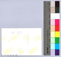 寶山新城糖廠藏品圖，第2張