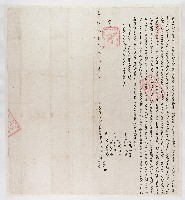 道光25年11月彭姜氏同男東昌、粵昌兄弟立杜賣盡根字藏品圖，第1張