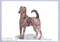 泰雅文物畫冊1-73黑褐犬藏品圖，第1張