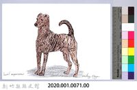泰雅文物畫冊1-73黑褐犬藏品圖，第2張