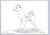 泰雅文物畫冊1-74白犬藏品圖，第1張