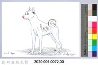 泰雅文物畫冊1-74白犬藏品圖，第2張