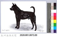泰雅文物畫冊1-75黑犬藏品圖，第2張