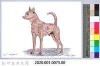 泰雅文物畫冊1-77棕犬藏品圖，第2張