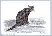 泰雅文物畫冊1-79家貓藏品圖，第1張