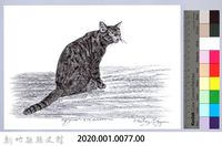 泰雅文物畫冊1-79家貓藏品圖，第2張