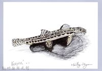 泰雅文物畫冊1-97中華花鰍藏品圖，第1張