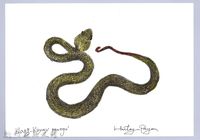 泰雅文物畫冊1-126赤尾青竹絲藏品圖，第1張