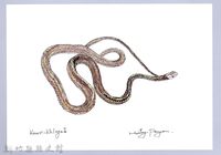 泰雅文物畫冊1-129過山刀藏品圖，第1張