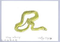 泰雅文物畫冊1-134青蛇藏品圖，第1張