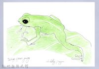 泰雅文物畫冊1-145台北樹蛙藏品圖，第1張