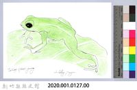 泰雅文物畫冊1-145台北樹蛙藏品圖，第2張