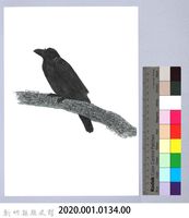 泰雅文物畫冊1-192家烏鴉藏品圖，第2張