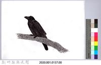 黑帶巴彥圖稿-3家烏鴉藏品圖，第2張