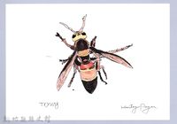 泰雅文物畫冊1-黑尾虎頭蜂-2藏品圖，第1張
