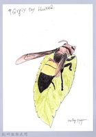 泰雅文物畫冊1-111黃腰虎頭蜂藏品圖，第1張