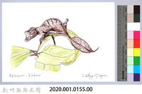 泰雅文物畫冊1-150幽靈竹節蟲藏品圖，第2張