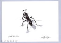 泰雅文物畫冊1-161黑山蟻藏品圖，第1張