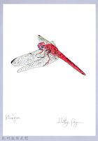 泰雅文物畫冊1-188黃基蜻蜓藏品圖，第1張