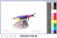 泰雅文物畫冊2-4紫翅麗菊虎藏品圖，第2張