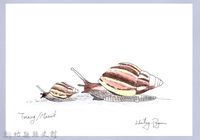 泰雅文物畫冊2-非洲大蝸牛藏品圖，第1張