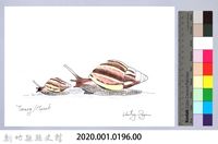 泰雅文物畫冊2-非洲大蝸牛藏品圖，第2張