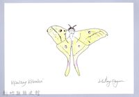 泰雅文物畫冊2-48台灣長尾水青蛾藏品圖，第1張