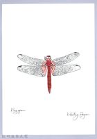 泰雅文物畫冊2-53褐基蜻蜓藏品圖，第1張