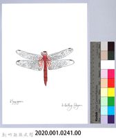 泰雅文物畫冊2-53褐基蜻蜓藏品圖，第2張