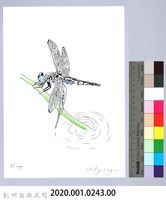 泰雅文物畫冊2-55線紋蜻蜓藏品圖，第2張