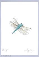 泰雅文物畫冊3-1金黃蜻蜓藏品圖，第1張