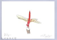 泰雅文物畫冊3-2小紅蜻蜓藏品圖，第1張