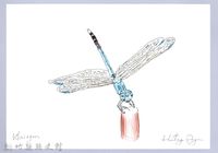 泰雅文物畫冊3-3白刀蜻蜓藏品圖，第1張