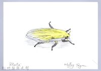 泰雅文物畫冊3-12葉蟬-1藏品圖，第1張