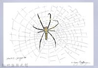 泰雅文物畫冊3-17人面蜘蛛藏品圖，第1張