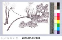 狩獵用具漁用-35大型動物套腳陷阱10：陷阱完成藏品圖，第2張