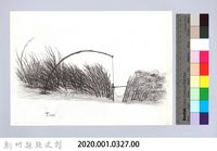 狩獵用具漁用-39鳥類套頸式陷阱藏品圖，第2張