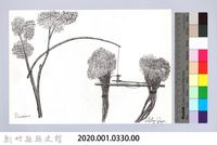 狩獵用具漁用-42樹上鳥類套腳式陷阱-1藏品圖，第2張