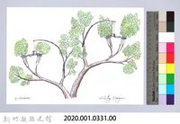 狩獵用具漁用-43樹上鳥類套腳式陷阱-2藏品圖，第2張