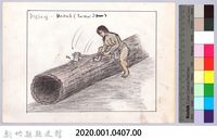 七柱穀倉-1防鼠板製作1：採集風倒木-1藏品圖，第2張