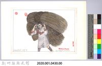 泰雅族的建築史：房屋篇-3茅草取得與加工2：茅草搬運藏品圖，第2張