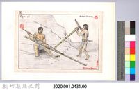 泰雅族的建築史：房屋篇-4搭建竹牆與竹屋頂2：竹子去節藏品圖，第2張