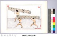 泰雅族的建築史：房屋篇-6搭建竹牆與竹屋頂1：竹子搬運藏品圖，第2張