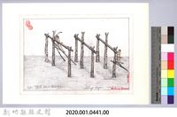 泰雅族的建築史：房屋篇-14茅草屋的搭建2：放橫木藏品圖，第2張