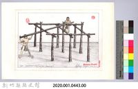 泰雅族的建築史：房屋篇-16茅草屋的搭建4：傳大樑藏品圖，第2張
