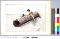 泰雅族的建築史：穀倉篇-6防鼠板製作1：採集風倒木-2藏品圖，第3張