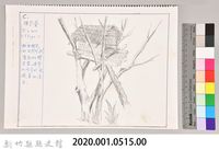 泰雅文化探索-3瞭望臺藏品圖，第3張