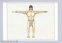 泰雅族的樂器與口傳-2泰雅族傳統丈量寬度的方法藏品圖，第1張